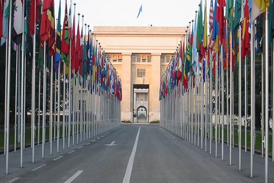 Länder-Fahnen vor dem UNO-Gebäude in Genf. © Yann Forget / Wikimedia Commons / CC-BY-SA. 